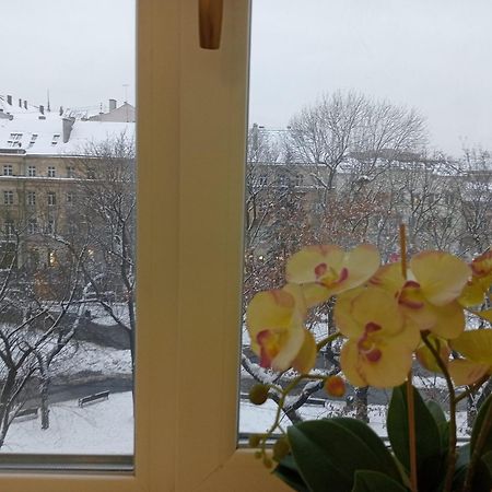 Apartment On Historical Center Of Львів Екстер'єр фото